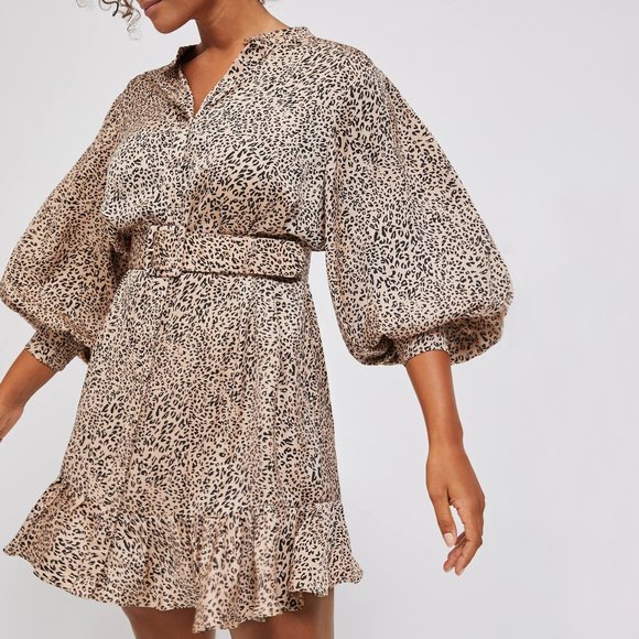 Anthropologie Dresses & Skirts - Anthropologie Laurie Cheetah Mini Dress